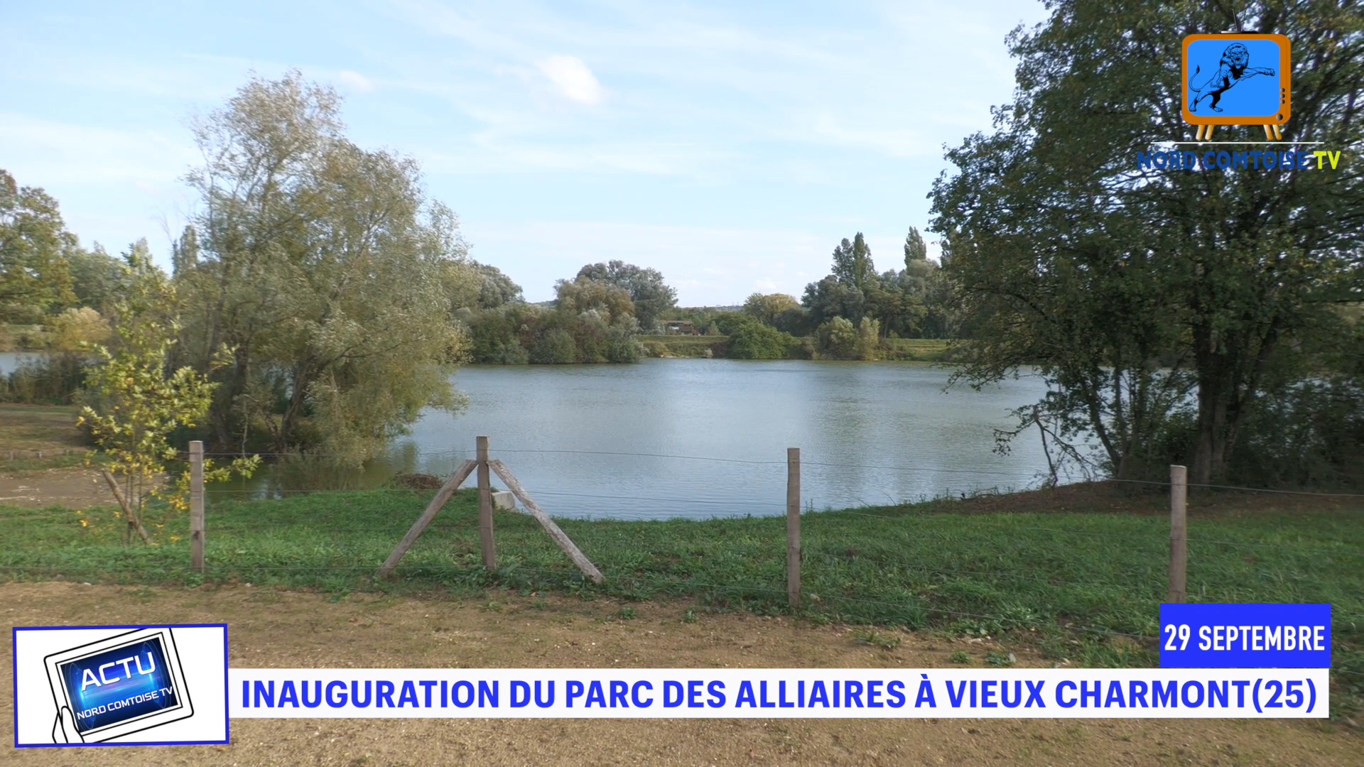 LA DÉPOLLUTION PAR LES PLANTES,CELA VOUS PARLE ?