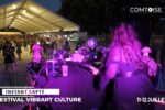 Festiv'Art à Valentigney : public dansant pendant les animations